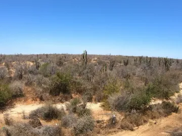 Terreno en Venta en Baja California Sur a unos pasos de la Garita