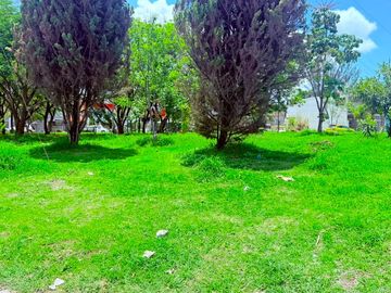 TERRENO EN RENTA