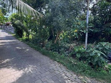 Dijual lahan ocean view labuan sait jalan bukit Sari Pecatu Uluwatu