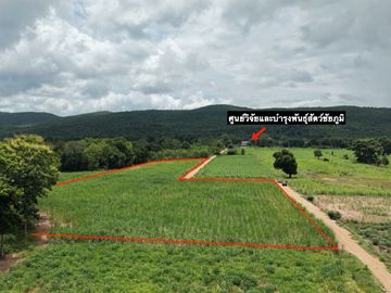 PZ1568 ขาย ที่ดิน 11 ไร่ 1 งาน 85 ตร.ว. วิวภูเขา ห่างถนนสีคิ้ว- เชียงคาน 200 เมตร และถนน Hightway (3058) 1.5 กิโลเมตร ตำบลห้วยไร่ อำเภอคอนสวรรค์ จังหว