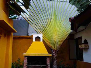 Villa Tropis Dengan Sentuhan Balinese Dekat Pantai Saba