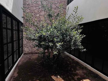 Casa sin Muebles ,4 recámaras.