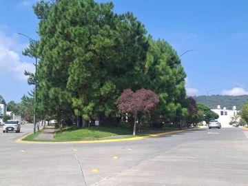 Violeta No. 104 Condominio Foret Residencial