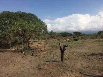 Terreno en Tlayacapan, a 4 minutos de Oaxtepec