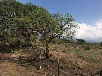 Terreno en Tlayacapan, a 4 minutos de Oaxtepec