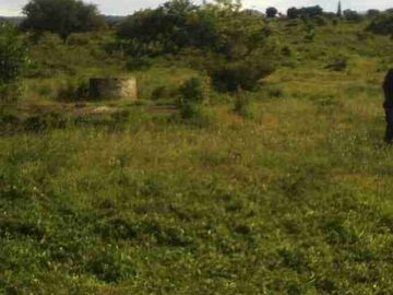 Terreno en Tlayacapan, a 4 minutos de Oaxtepec