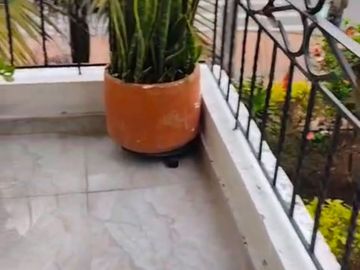 ✨APARTAMENTO EN VENTA EN HAYUELOS✨
