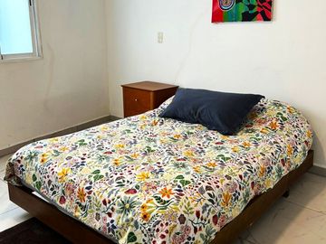 VIVE EN LA COLONIA ROMA , ZONA TURISTICA Y COMERCIAL, RESTAURANTES