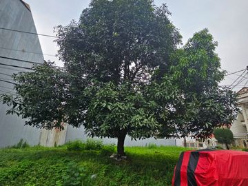 Dijual Tanah di Citra 2