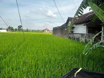 Tanah Investasi Berbah Dekat Jogja-Solo – Rp2,544 Miliar