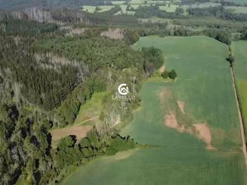 VENDEMOS CAMPO EN SECTOR NIAGARA