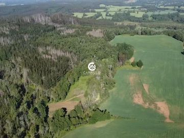 VENDEMOS CAMPO EN SECTOR NIAGARA