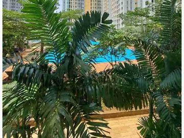 disewakan 2br Apartemen the springlake summarecon bekasi