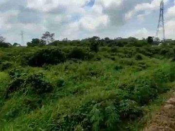 KAVLING TIGA RAKSA TERMUTAH 1,8HA