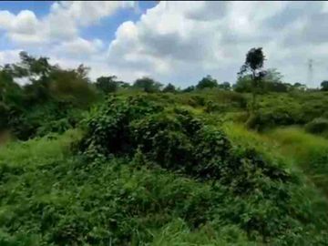 KAVLING TIGA RAKSA TERMUTAH 1,8HA