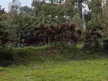 Di jual 2 unit 2 lantai include perkebunan durian MDPL 950