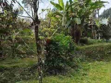 Di jual 2 unit 2 lantai include perkebunan durian MDPL 950