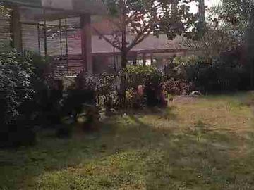 Di jual 2 unit 2 lantai include perkebunan durian MDPL 950