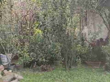 Di jual 2 unit 2 lantai include perkebunan durian MDPL 950