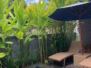 Charming 3BR Villa with Private Pool , UBUD