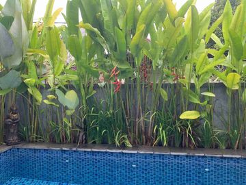 Charming 3BR Villa with Private Pool , UBUD