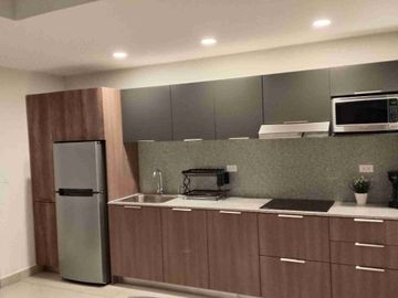 Renta Departamento Amueblado 1 Rec Torre Dana Arboledas San Pedro Garza García Nuevo León