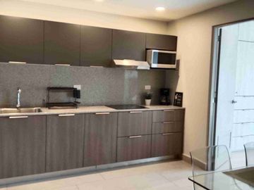 Renta Departamento Amueblado 1 Rec Torre Dana Arboledas San Pedro Garza García Nuevo León