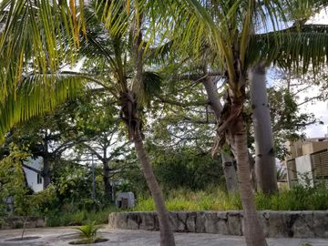 SE RENTA AMUEBLADO PARA EJECUTIVO A UNA CUADRA DE PLAZA AMERICAS 2 REC