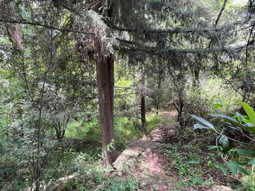 Terreno con hermosa vista