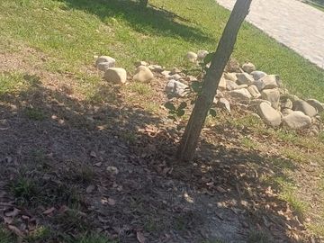 Quinta en Venta en La Purisima, Cadereyta Jimenez N.L.