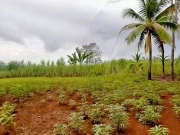 Tanah Mojogedang, Karanganyar, Jawa Tengah
