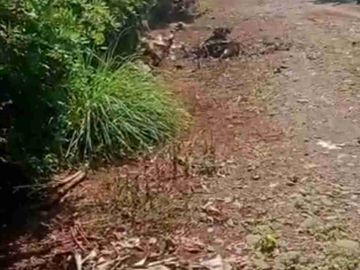 Tanah Sudut Depan Jalan Beton Desa Benteng Gajah Maros