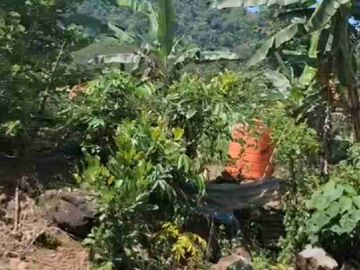 Kebun Rambutan pinggir Jalan Aspal Desa Belapunranga Dekat Bilibili