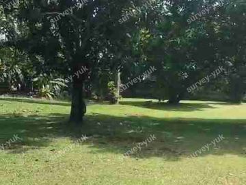 Tanah Lt 3000 m2 shm pondok Ranji