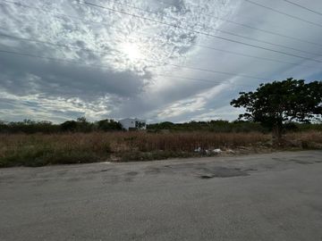Temozon Norte Terrenos