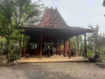 Wisata Alam dan Staycation