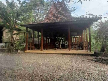 Wisata Alam dan Staycation
