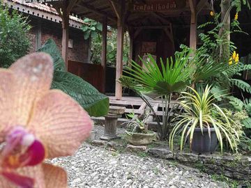 Wisata Alam dan Staycation