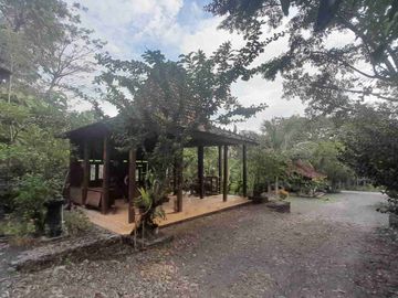 Wisata Alam dan Staycation