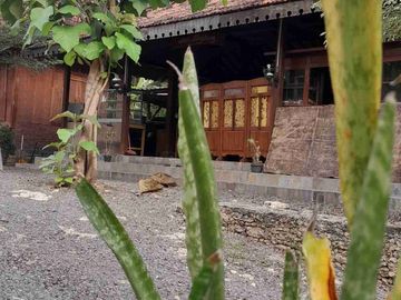 Wisata Alam dan Staycation