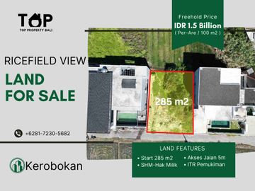 Tanah plot kecil dengan view sawah 285 m2 atau 2,85 are di Kerobokan Bali SHM