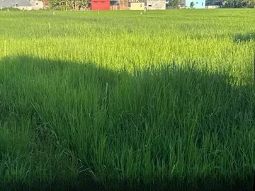 Dijual Tanah sekitar Jalan Poros Maros, Turikale