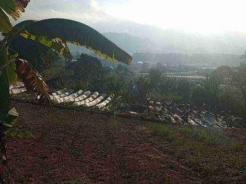 Lahan Eksotis Luas 3100m Kawasan Wisata Tabanan Bali