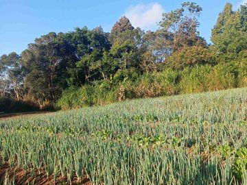 Lahan Eksotis Luas 3100m Kawasan Wisata Tabanan Bali