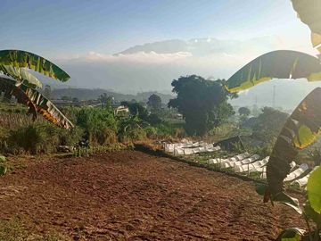 Lahan Eksotis Luas 3100m Kawasan Wisata Tabanan Bali