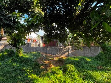 Tanah 12 Are Kondisi Sudah Padat Siap Bangun Dijual di Singaraja
