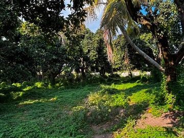 Tanah 12 Are Kondisi Sudah Padat Siap Bangun Dijual di Singaraja