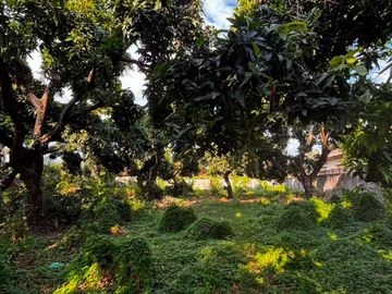 Tanah 12 Are Kondisi Sudah Padat Siap Bangun Dijual di Singaraja