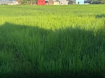 Dijual Tanah sekitar Jalan Poros Maros, Turikale