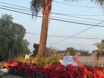 RENTA DE LOFT AMUEBLADO  EN LOMAS DE COMANJILLA SALIDA LEON SILAO